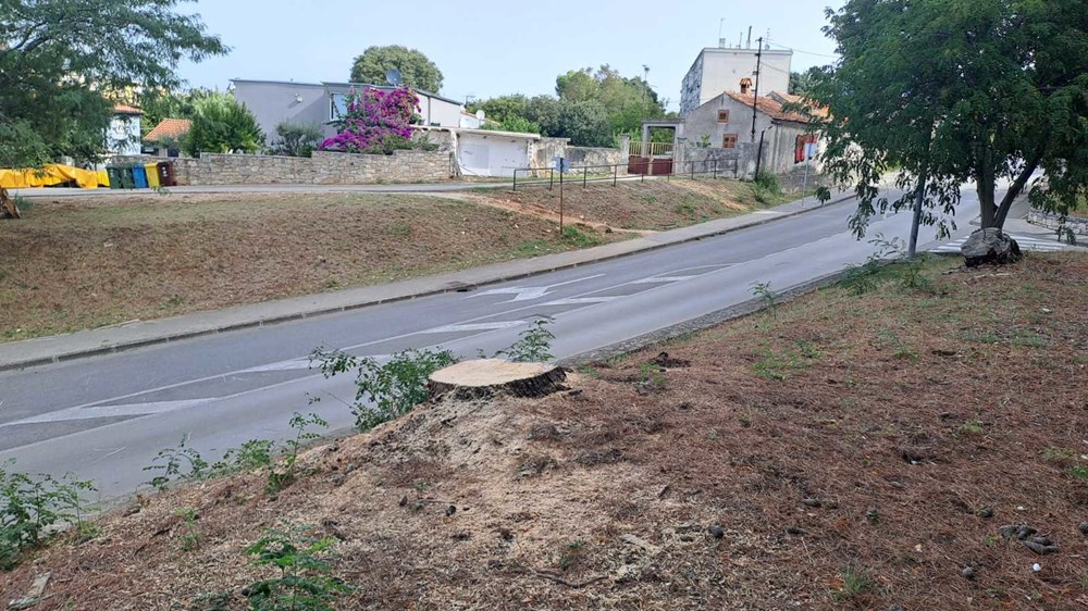(Zoran Oljača)