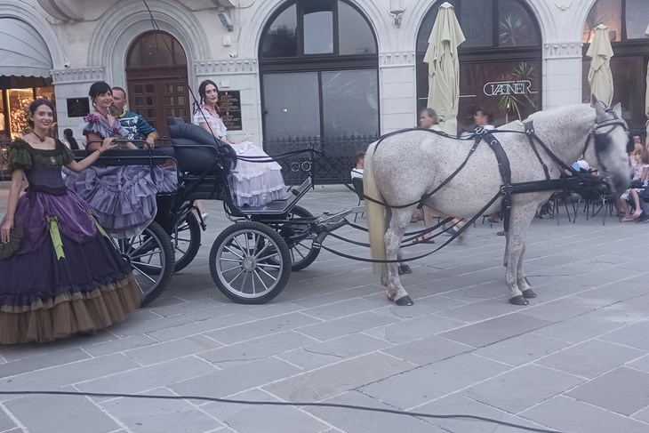 (Vanesa Begić)