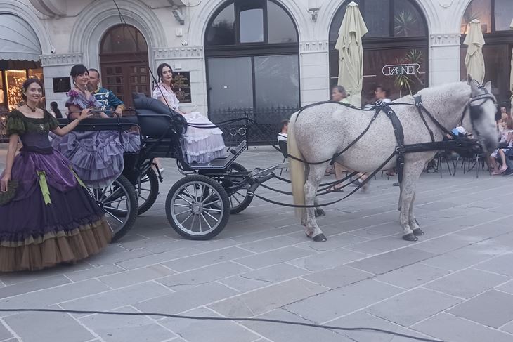 (Vanesa Begić)