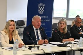 (Snimio Goran Panić/Hina)