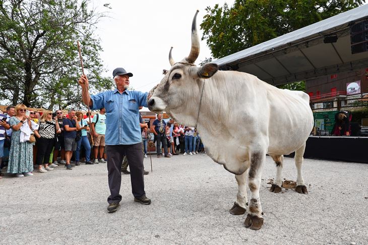(Foto: JU "Park prirode Učka")
