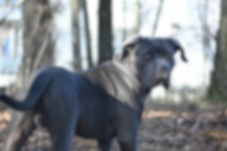 Ilustracija (Unsplash)