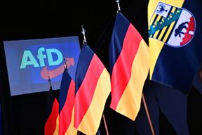 AfD (SEBASTIAN GOLLNOW/DPA)