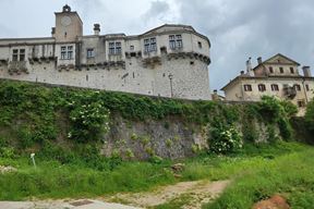 (Foto Grad Pazin)