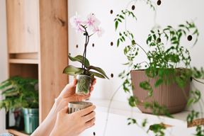 (Foto: iStock)