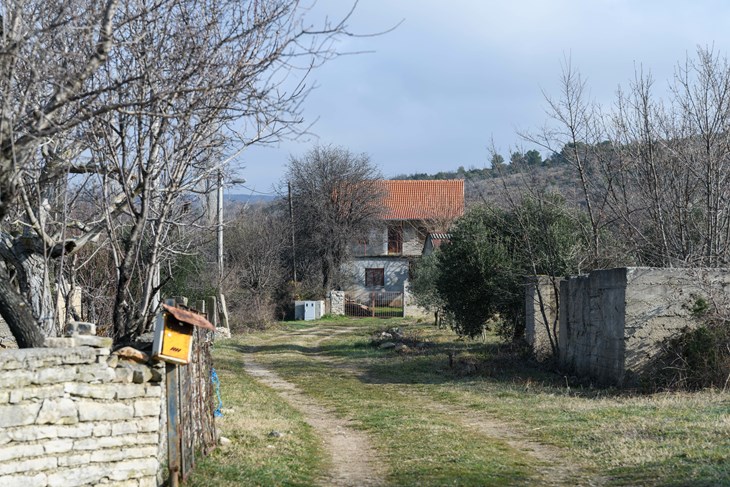 (Luka Jeličić)