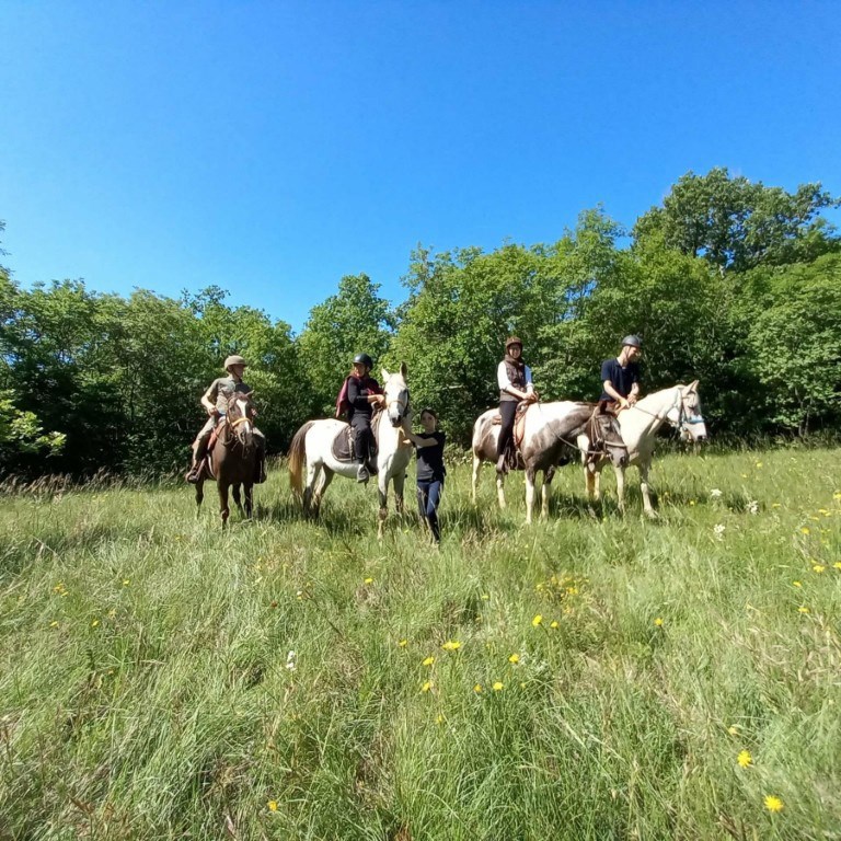 (Dru&scaron;tvo multiple skleroze Istarske županije)