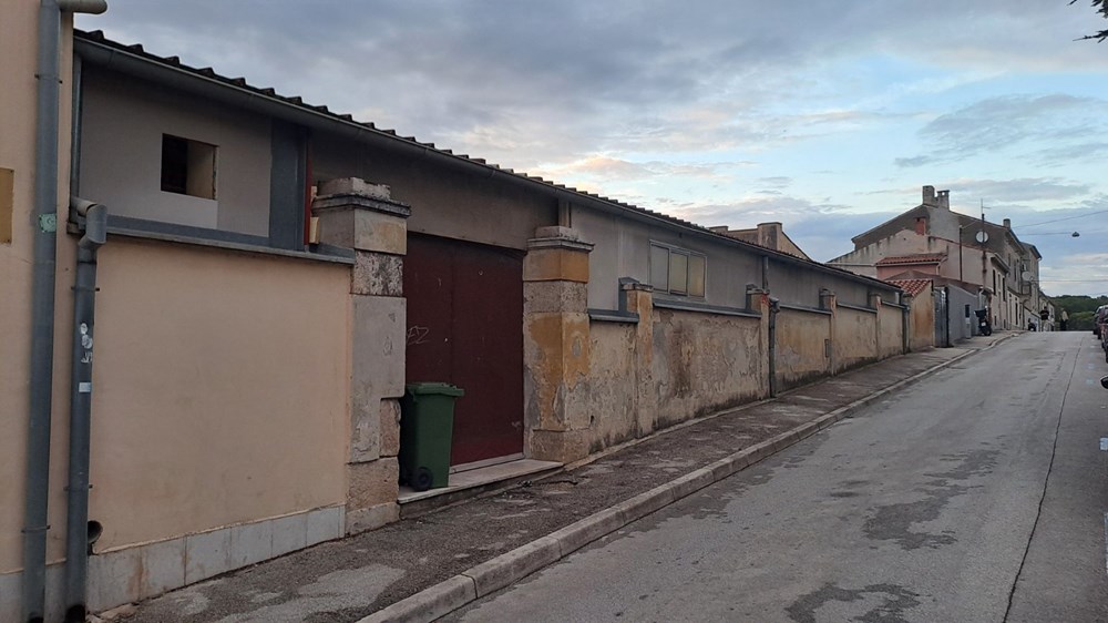 (Zoran Oljača)