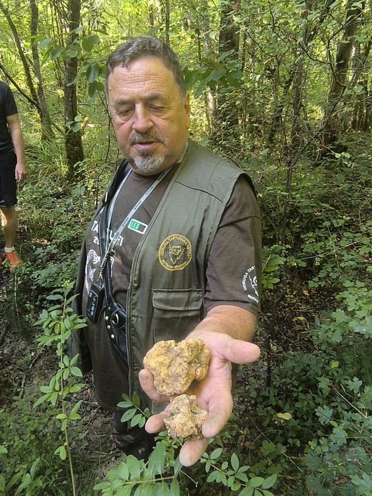 (Zvonimir Guzić)