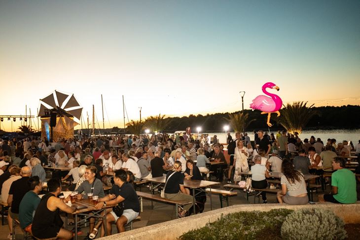 (TZO Medulin)