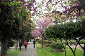 (Arhiva Glasa Istre)
