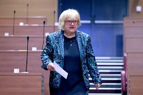 Anka Mrak Taritaš (Snimio Patrik Macek / Pixsell)