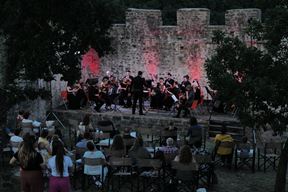 (Istarski komorni orkestar)