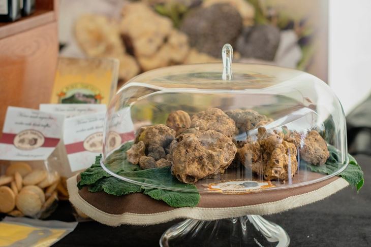 Nadaleko cijenjen istarski pršut ima i svoj festival (FIP)