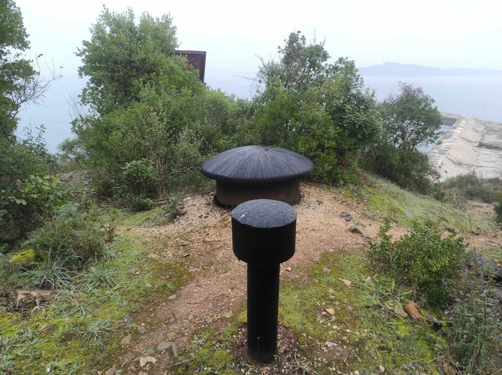 (Sandra Zrinić Terlević)