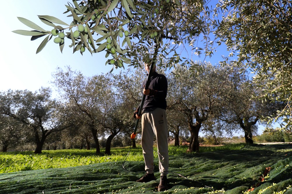 (Arhiva Glasa Istre)
