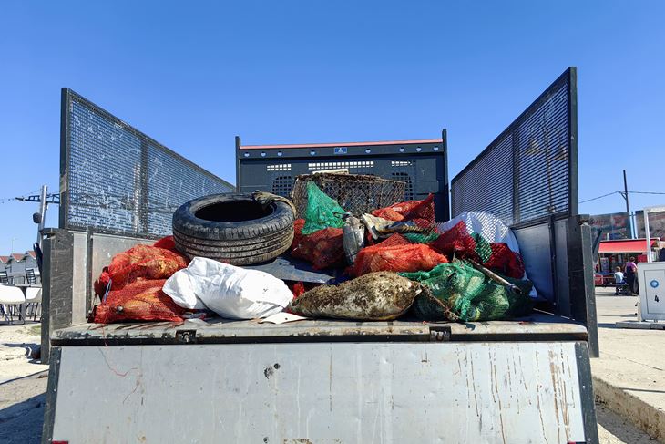 (TZ Fažana)