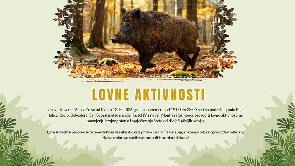 (Grad Buje)