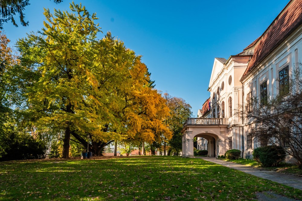 (Foto: Stipe Bo&scaron;čić)