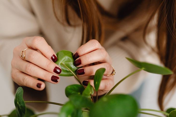 (Foto: iStock)