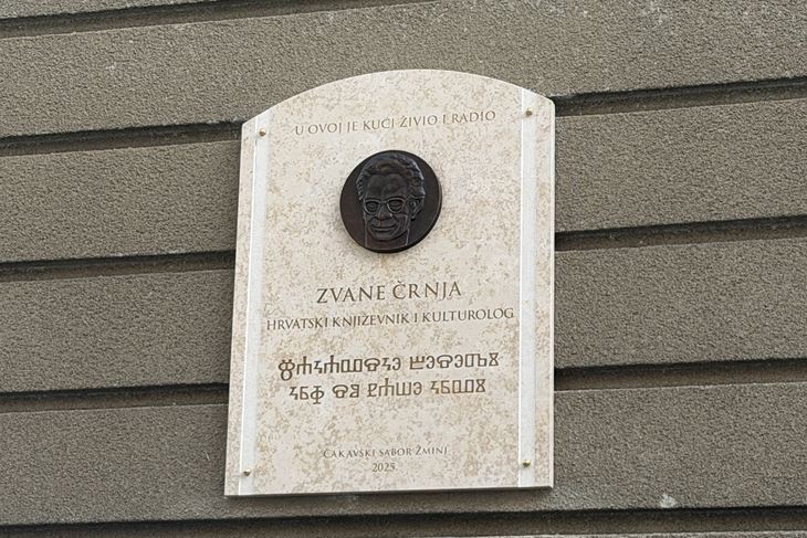 (Lana Pliško)