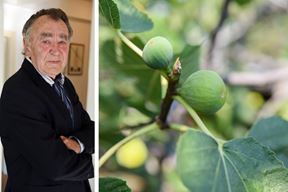 (Arhiva Glasa Istre, Luka Jeličić)