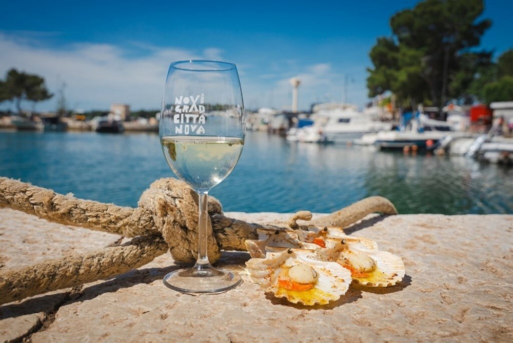 (TZ Novigrad)