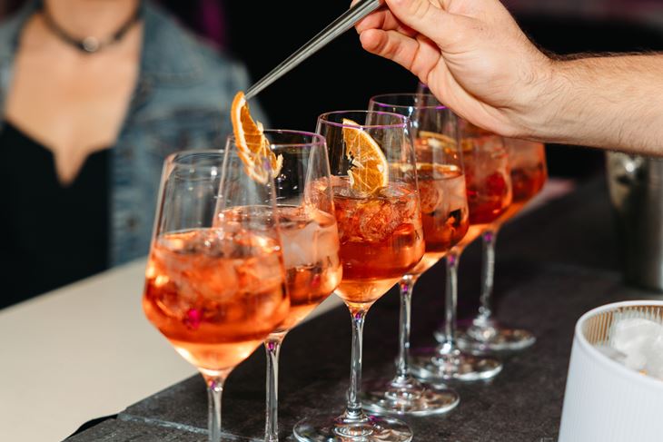 (Medulin Wine & Gastro)
