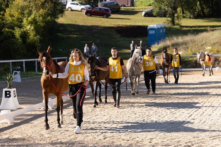 (Foto Endurance team Istra)