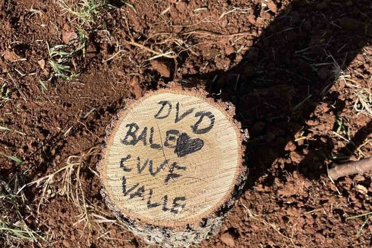 (DVD Bale)