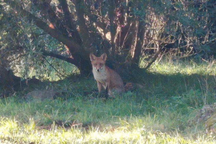 (Foto Aleksandra Poropat)