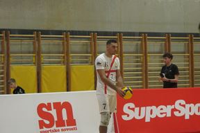 (Ivica Radetić)