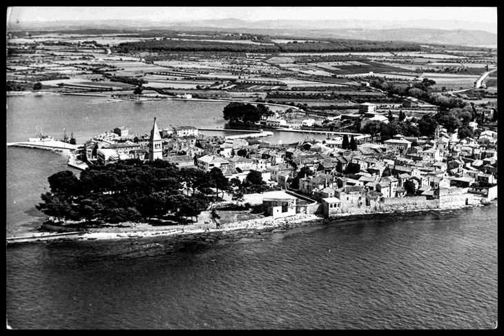(TZ Novigrad)