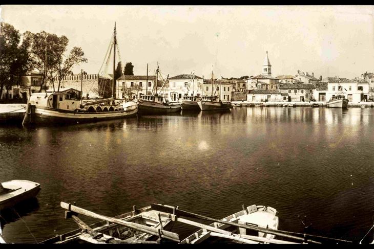 (TZ Novigrad)