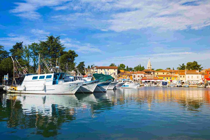 (TZ Novigrad)