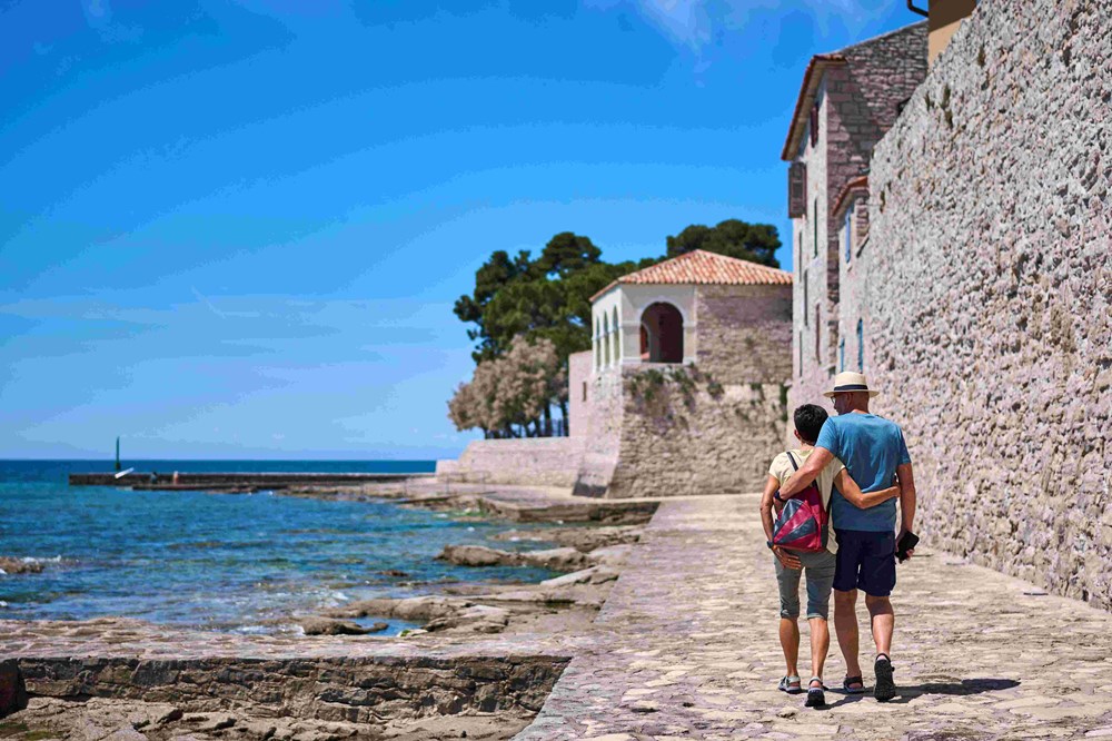 (TZ Novigrad)