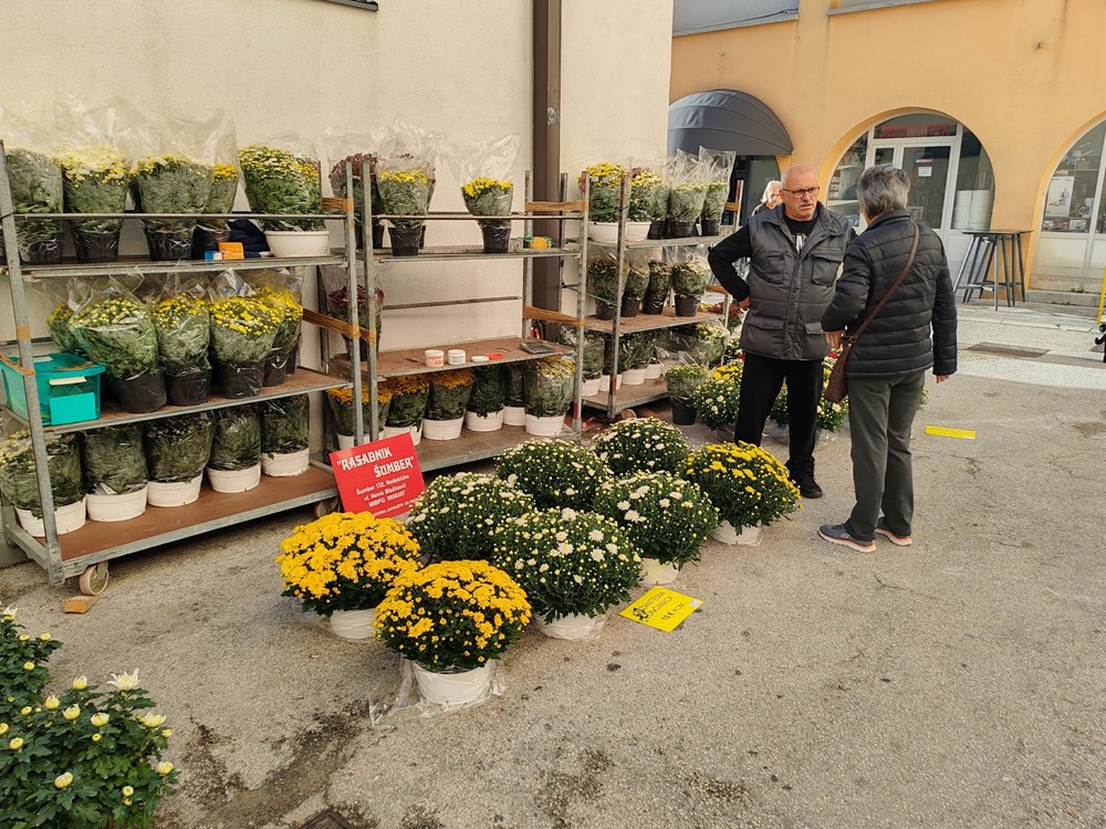 (Foto: Branko Biočić)