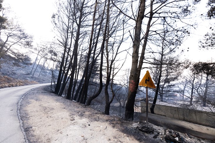  (Foto: Žaklina Jurić)