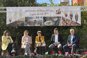 (Gordana Čalić Šverko)