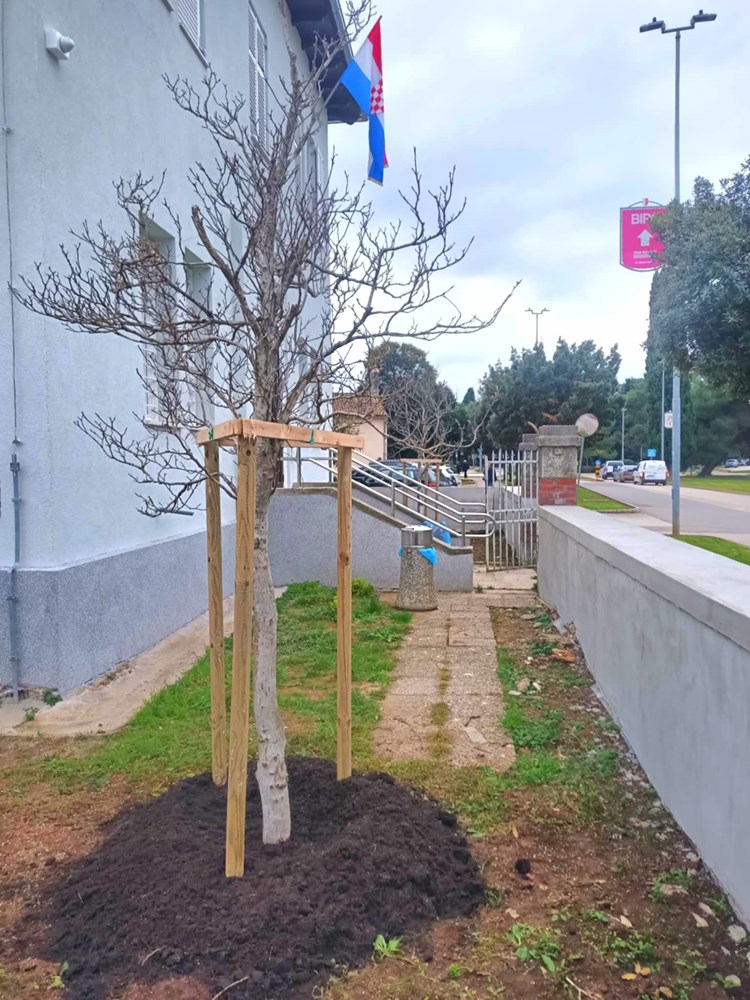 (Grad Poreč)