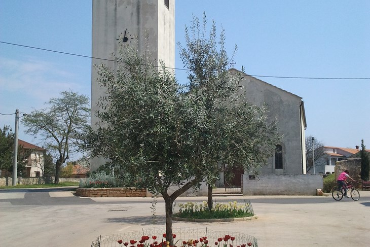 Arhiva