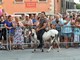 BUMBARSKA FEŠTA -TRKA OD TOVARI; Snimio Danilo MEMEDOVIĆ