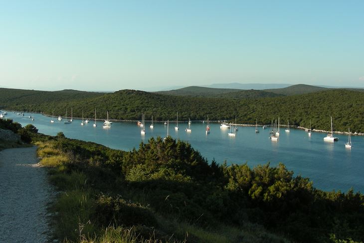 Arhiva