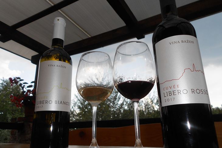 Bijela i crna kupaža Libero vinarije Bažon