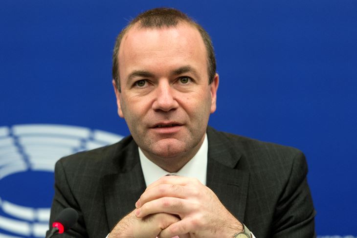 Manfred Weber 