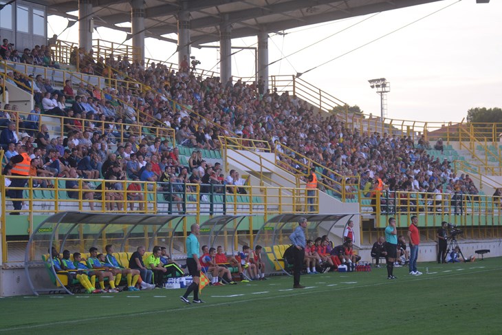(D. ŠTIFANIĆ)
