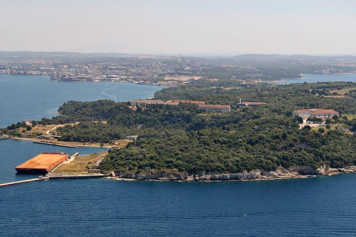 Muzil (N. LAZAREVIĆ)