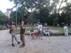 mornaricxki parkD. ST.